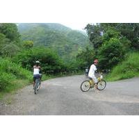 blue mountain bicycle tour from kingston