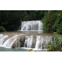 Black River, YS Falls and Appleton Rum Estate Day Trip from Negril