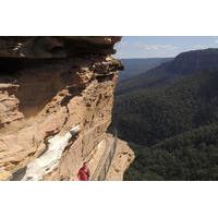 Blue Mountains Small-Group Insider Tour from Sydney