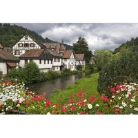Black Forest and Rhine Falls Day Trip from Zurich