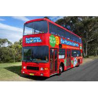 blue mountains hop on hop off tour with optional scenic world rides an ...