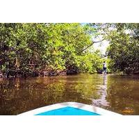 Blackwater River One Way Paddle Board Tour