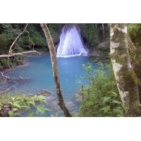 Blue Hole and River Gully Rainforest Adventure Tour from Falmouth