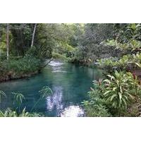 Blue Hole and River Gully Rainforest Adventure Tour from Montego Bay