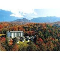 Bluegreen Vacations Mountain Loft, Ascend Resort Collection