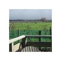 Bluebell Lodge And Cottage