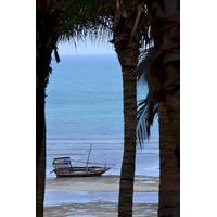 Bliss Beach Lodge