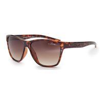 Bloc Cruise F802 Sunglasses, Brown