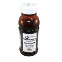 BlueberryActive Concentrate 210ml