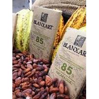 Blanxart 85% Nicaragua DARK Chocolate 125g