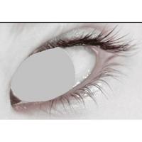 Blind Grey 3 Month Halloween Coloured Contact Lenses (MesmerEyez XtremeEyez)