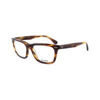 blinde bl slippery slope tortoise