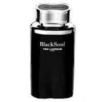 Black Soul 100 ml EDT Spray