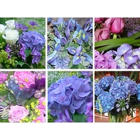 Blue Flower Collection