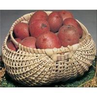 Blue Ridge Basket Kits-Potato Basket 7X12X12 234510
