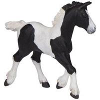 Black Piebald Cob Foal