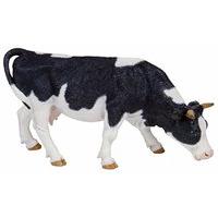 Black And White Grazing Cow