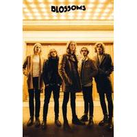 Blossoms Band Poster