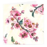 Blossom
