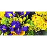 Blue and Yellow