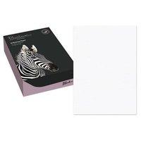 Blake Premium Business (A4) 120g/m2 Laid Paper (Diamond White) Pack of 500