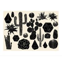 black cactus by hello marine