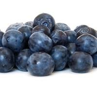 Blueberries Blue Crop 6 Plants 9cm Pot