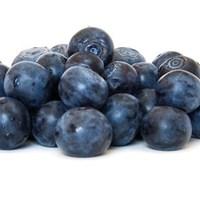 Blueberries Blue Crop 3 x 9cm Pots