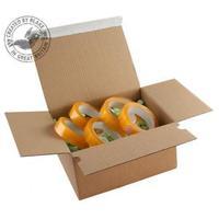 Blake Purely Packaging Peel and Seal 310mm x 230mm x 81-160mm Postal