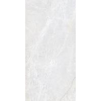 Blizzard White Gloss Tiles - 500x250x8mm
