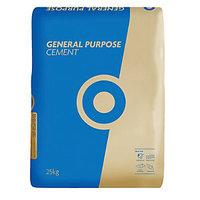 Blue Circle General Purpose Cement 25kg