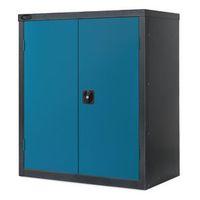 BLACK CARCASS CUPBOARD - LOW COLOUR - BLUE