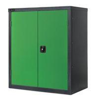 BLACK CARCASS CUPBOARD - LOW COLOUR - GREEN