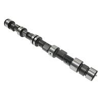 Blue Print ADG06101 Camshaft Kit