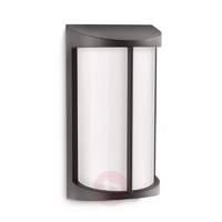 Black Pond outdoor wall light