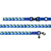 Blue Geometric Smart Lead