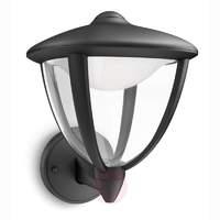 Black Robin LED outdoor wall light