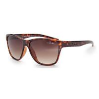 bloc cruise sunglasses tort