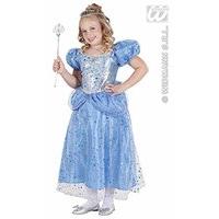Blue Princess/fairy (140cm) (dress)
