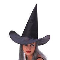 Black Witch Hat With Grey Hair
