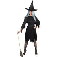 Black Medium Ladies Spooky Witch Costume