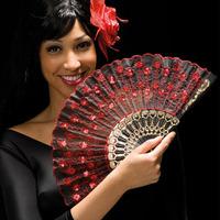 Black Decorated Fan