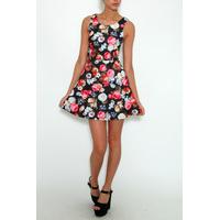 Black Floral Printed Mesh Back Skater Dress