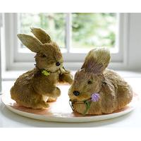 Bloom Rabbit pair, Pink, Natural Grass