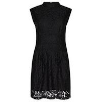 Black Rose Lace Structured Dress