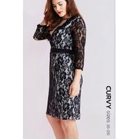 Black Lace Bodycon Dress