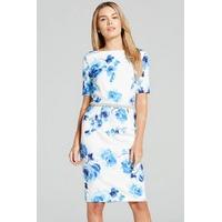 Blur Rose Print Wiggle Dress