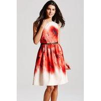 Blurred Poppy Print Fit and Flare Dress