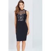 Black Bodycon Dress With Lace Panel