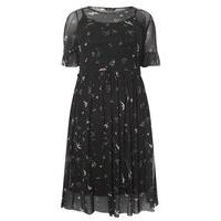 Black Bird Print Mesh Dress, Navy